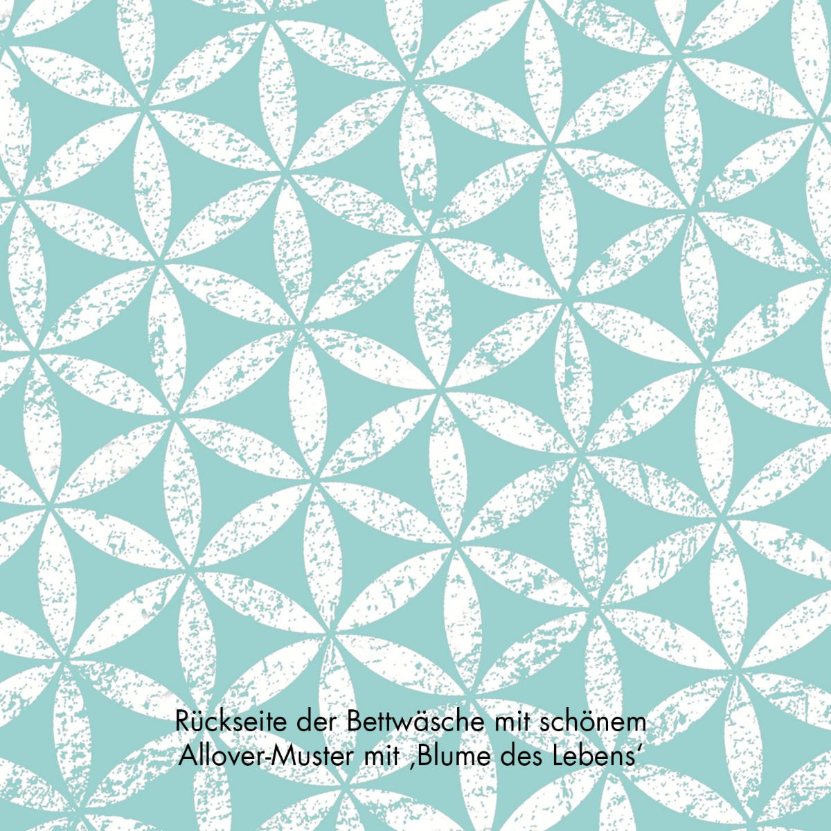 140x200 & 70x90 cm - österr. Set: Bettbezug + Kissen Faszination - rainbow